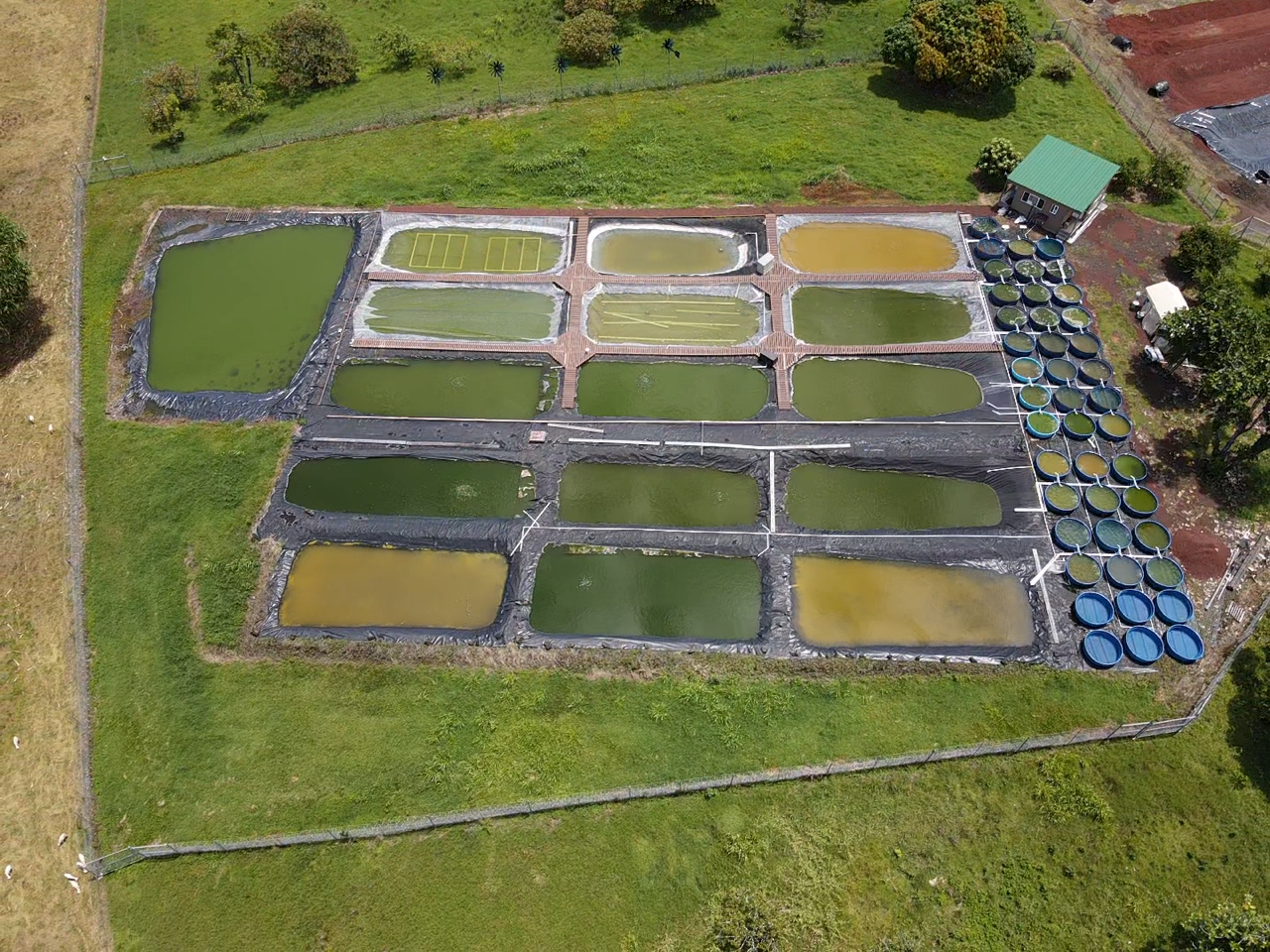 2021-08-16-11-36-13-338